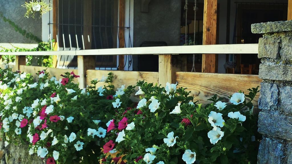 Appartamento Le Chalet Albosaggia ภายนอก รูปภาพ